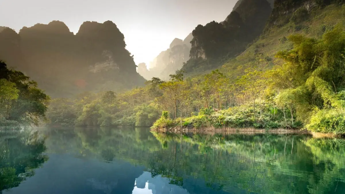 高效全自动高标准
